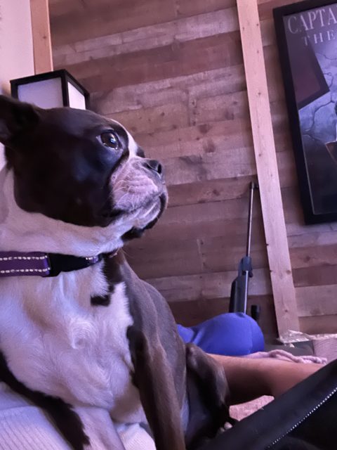 Gracie