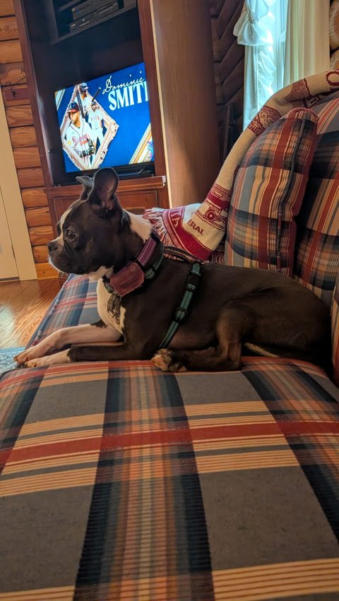 Gracie