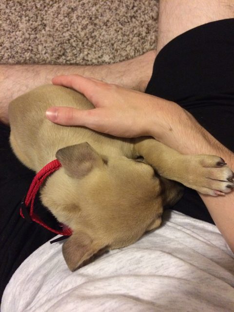 Lucy