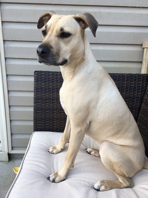 Lucy