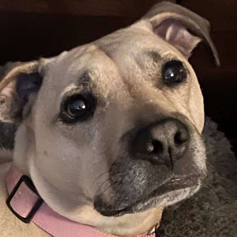 Lucy