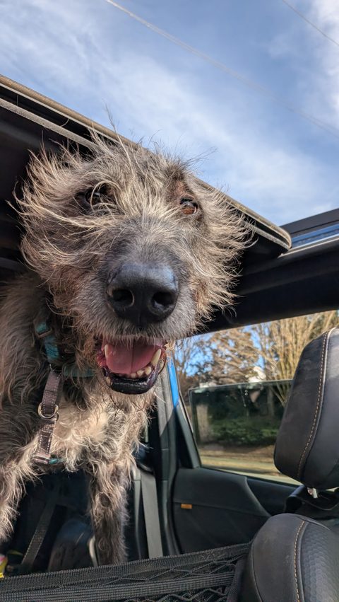 Matilda