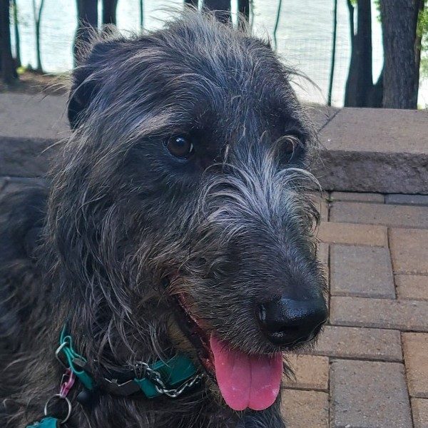 Matilda
